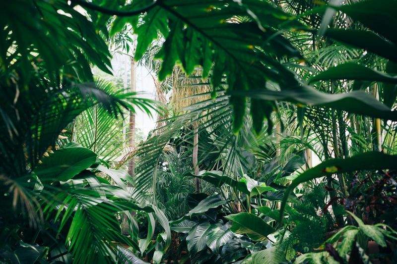植栽計画と季節管理