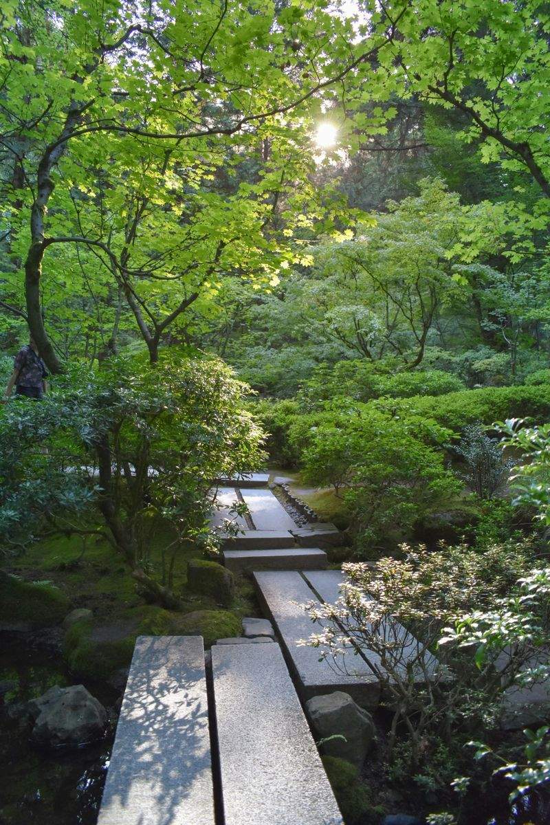 竹垣・門まわりの整備